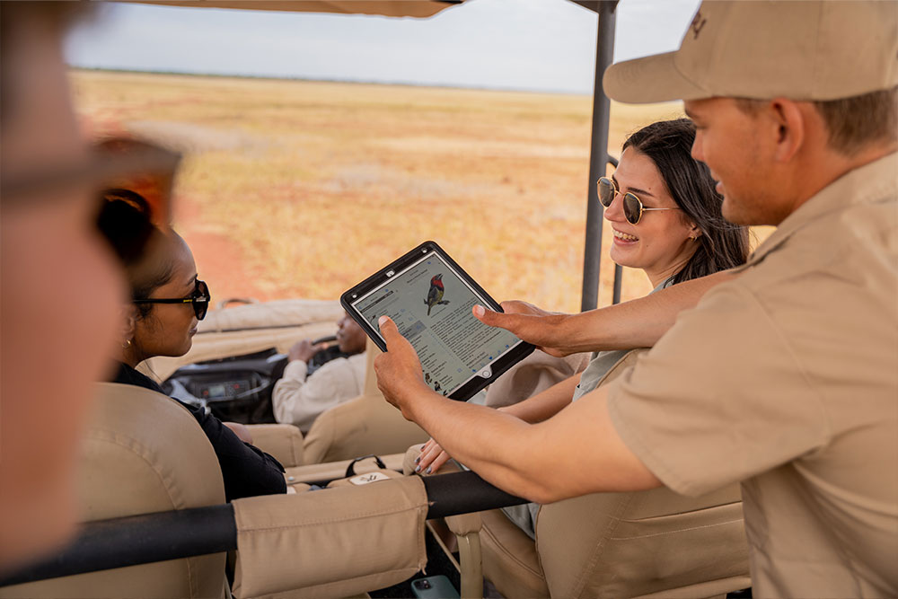 Look up birds or wildlife on the tablets supplied in each vehicle