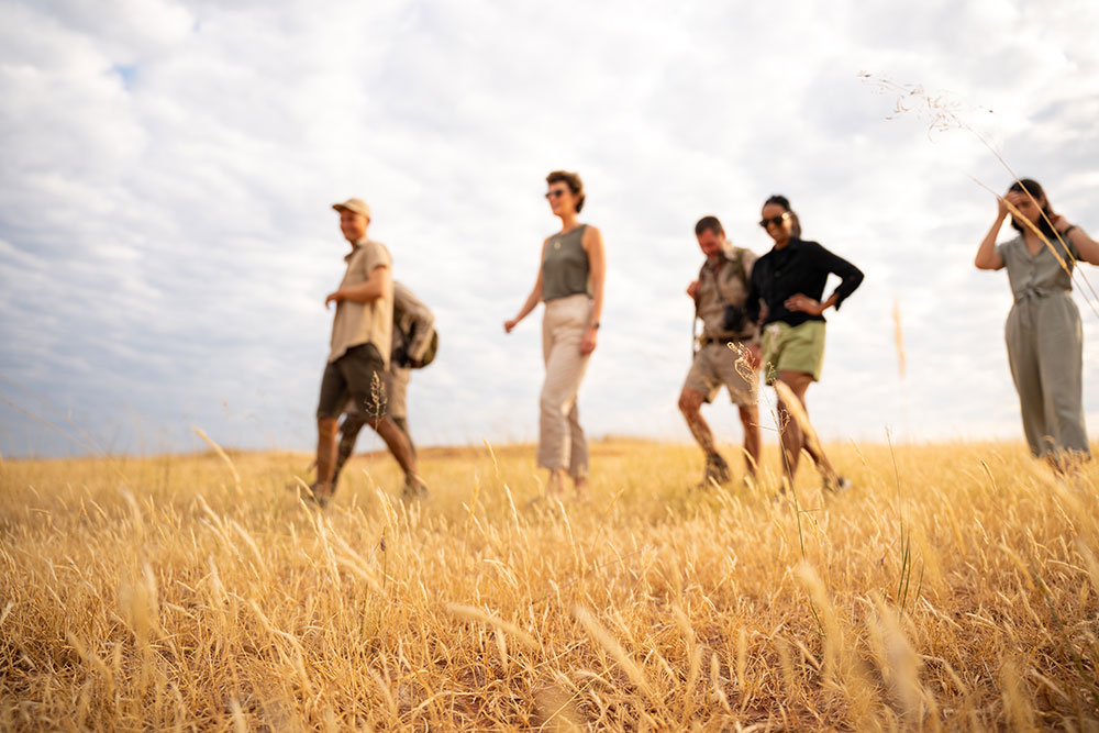 Explore Matusadona on a walking safari